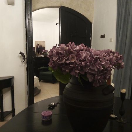 Villa Victoria Gradac  Kültér fotó