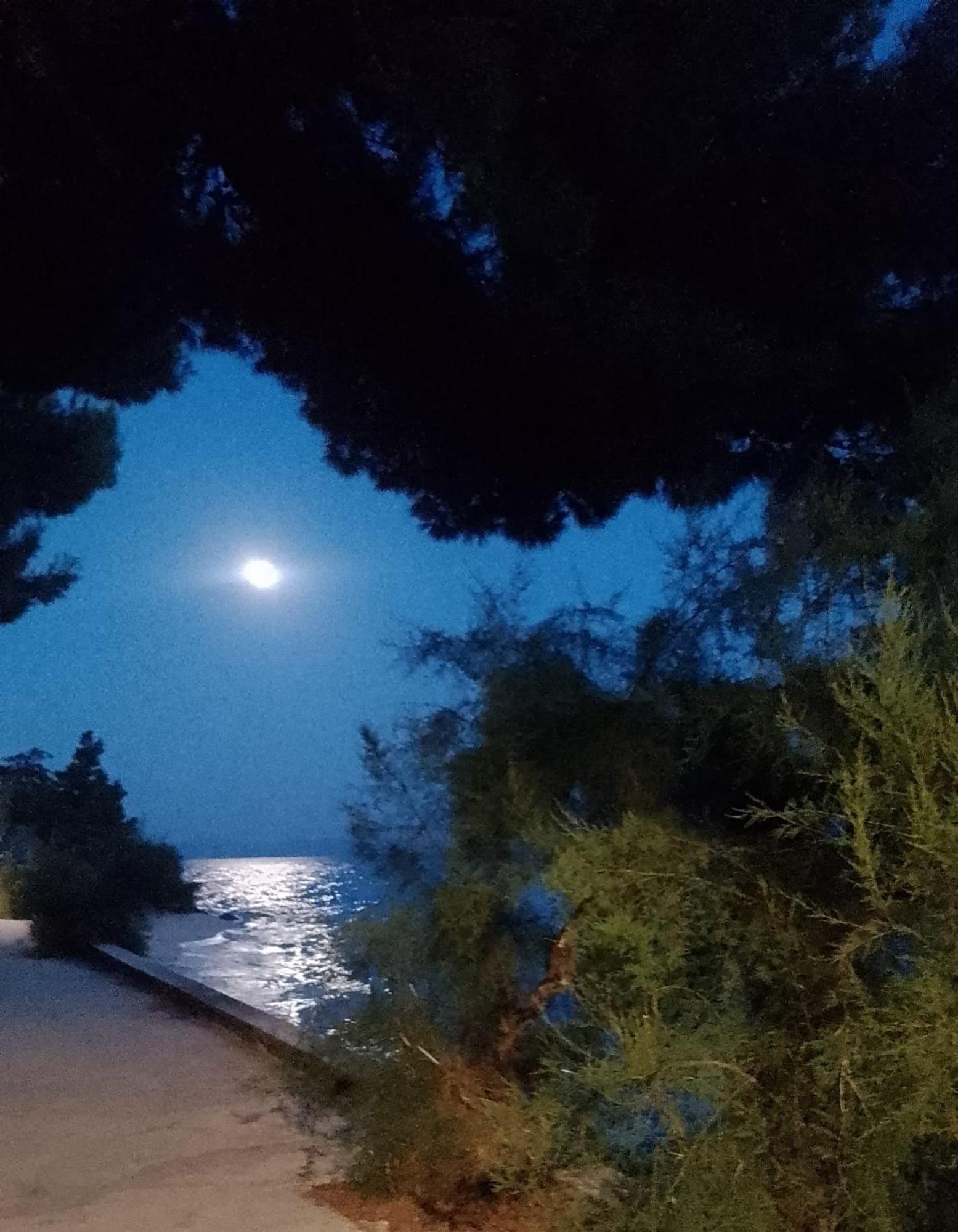 Villa Victoria Gradac  Kültér fotó