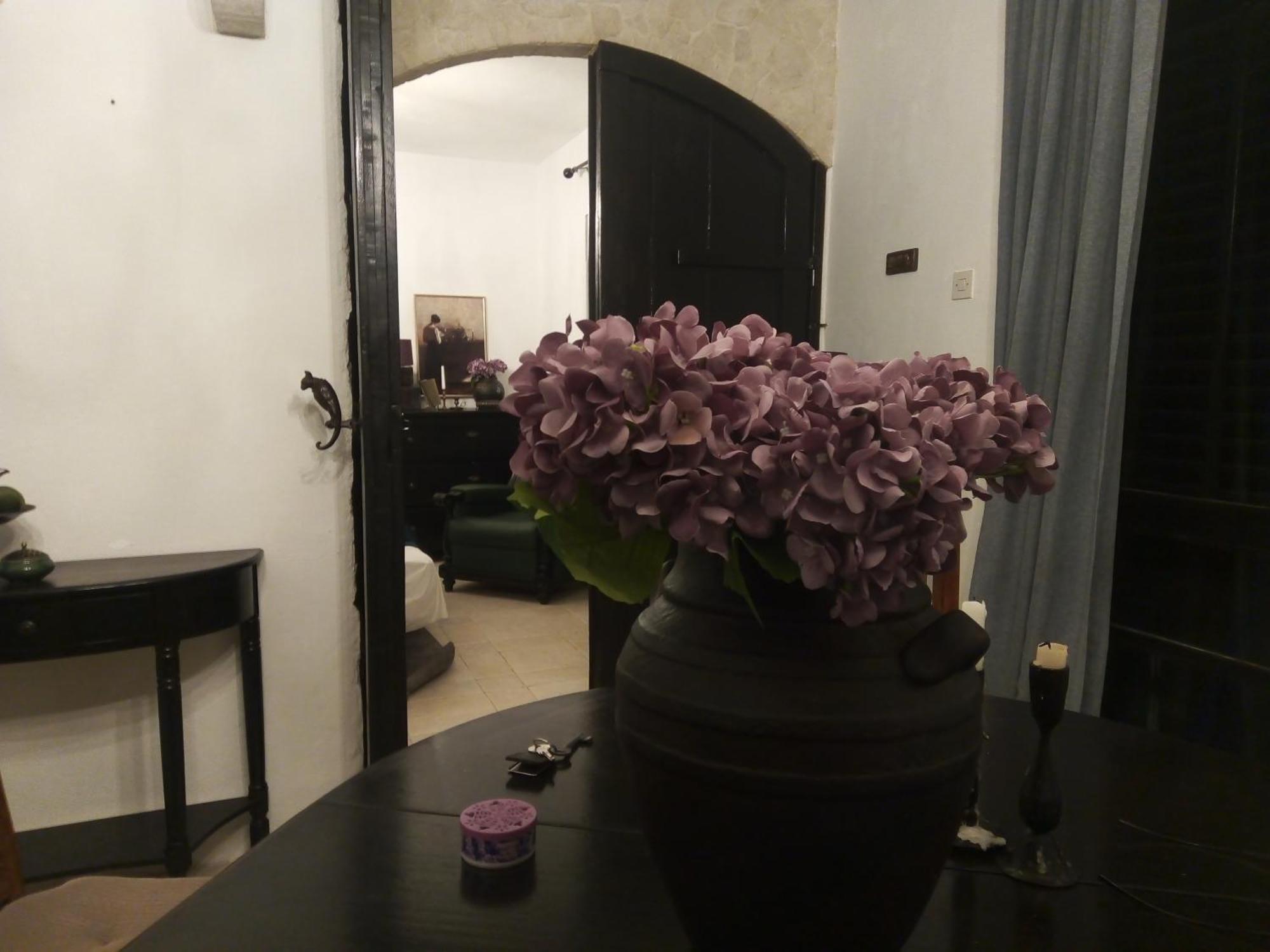 Villa Victoria Gradac  Kültér fotó